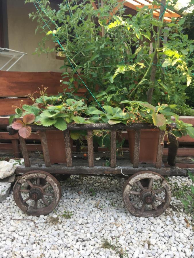 Balatonkenesei Nádfedeles Lovas Vendégház Exterior foto